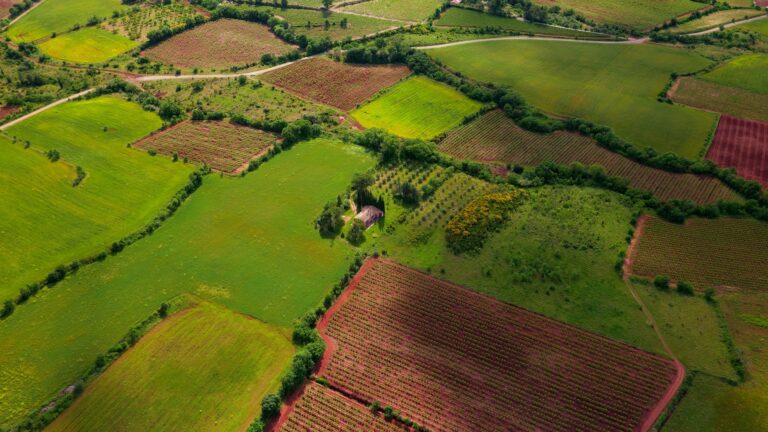 Agricultural Land