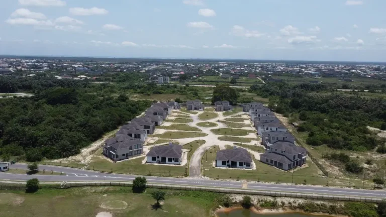 the village aerial view