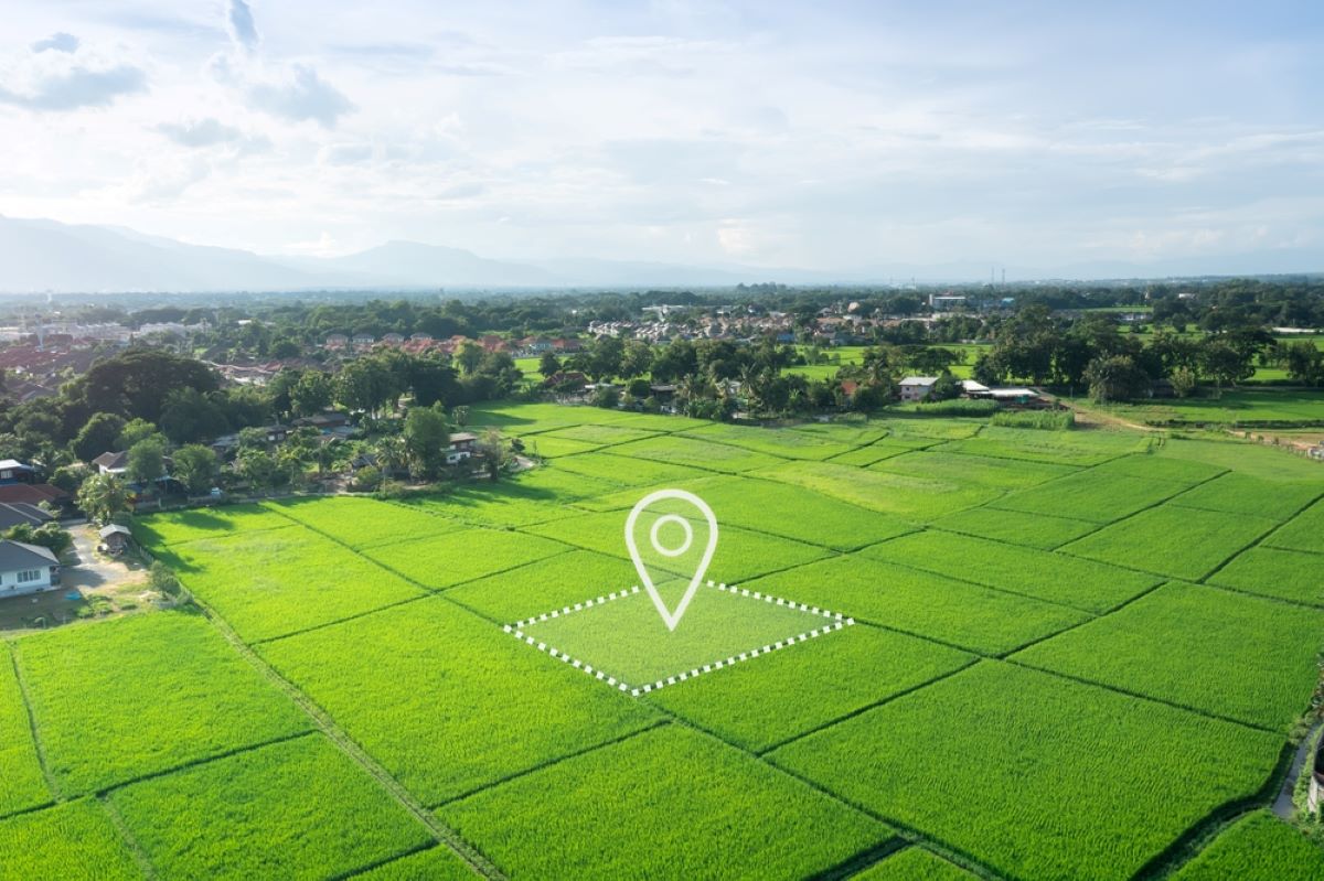 Nigerian Land Sizes and Measurement